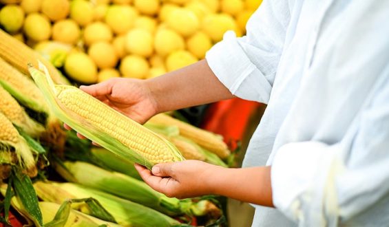 The Debate on Shucking Corn Before Buying