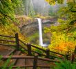 Tragic Fall at Silver Falls State Park