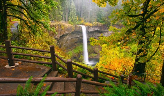 Tragic Fall at Silver Falls State Park