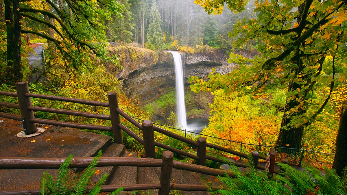 Tragic Fall at Silver Falls State Park