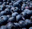 FDA Issues Highest Risk Warning for Recalled Berry Products Due to E. coli Contamination