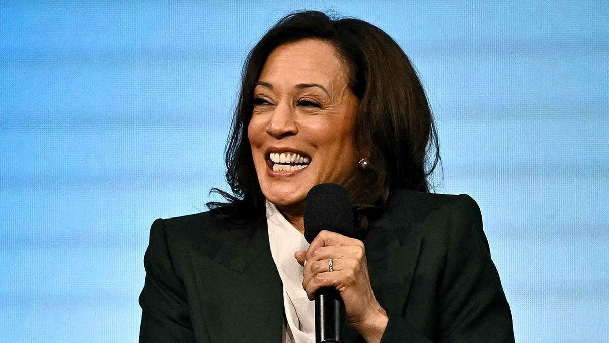 Alarm Raised Over Democratic Party’s Financial Struggles
