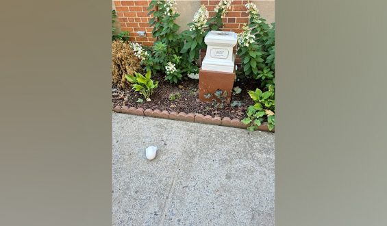 NYPD Investigates Vandalism at Long Island City Church