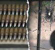Nevada Man Pleads Guilty to Trafficking Firearms to Mexico