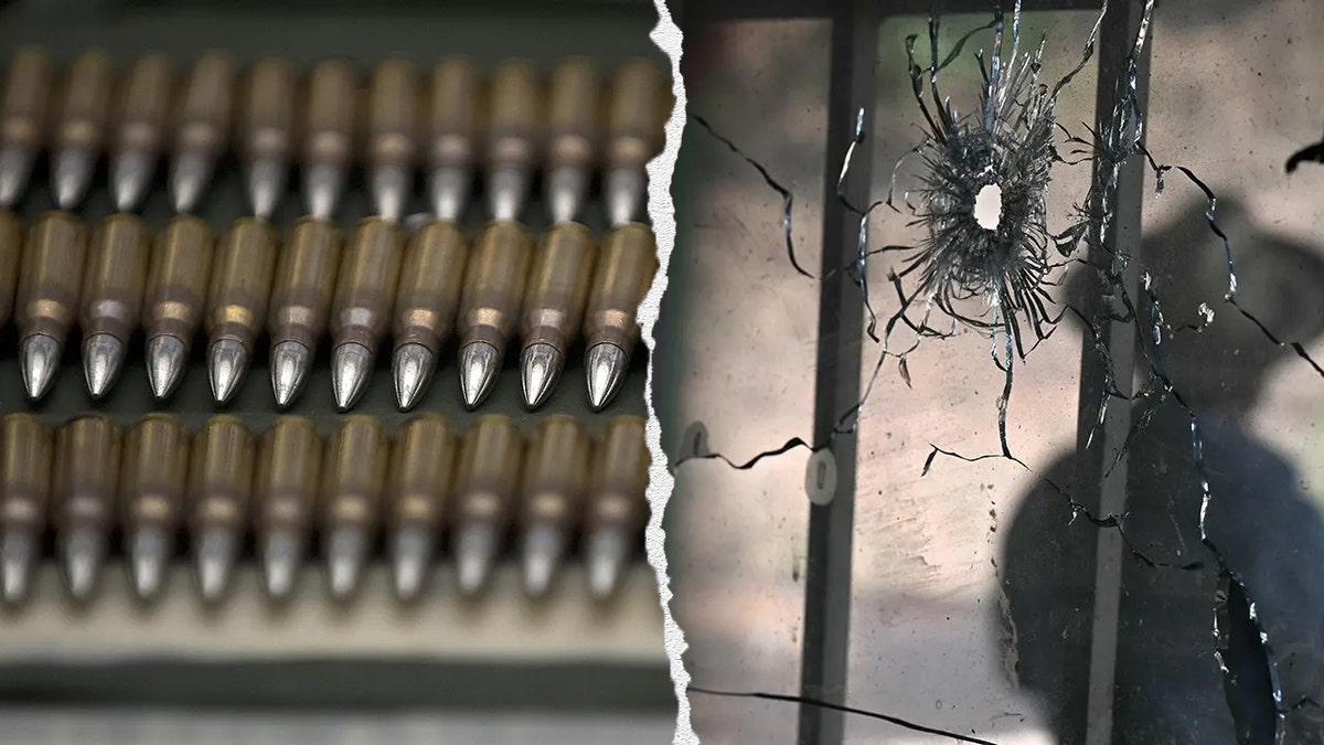 Nevada Man Pleads Guilty to Trafficking Firearms to Mexico