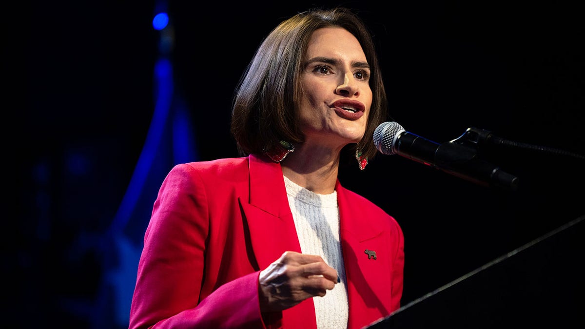 Minnesota Senate Race: Flanagan’s Challenge Amid Fraud Scandal
