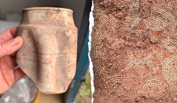 Roman Villa Unearthed in Devon: A Window into Ancient Affluence