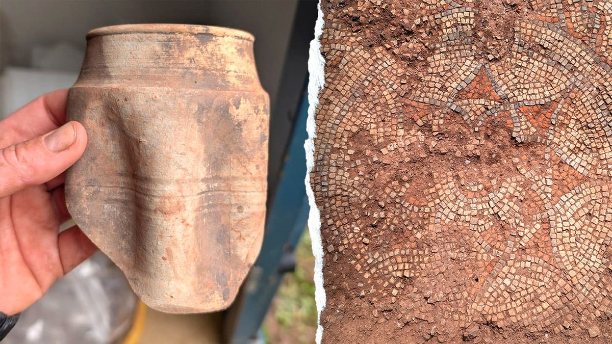 Roman Villa Unearthed in Devon: A Window into Ancient Affluence
