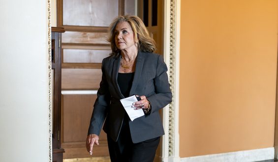 Tennessee Primary Elections See Blackburn and Rose Compete for GOP Nomination