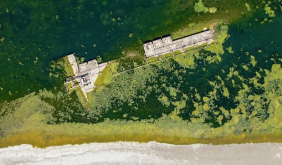 Drought Reveals World War II Battleships and Ancient Mammoth Remains in the Danube