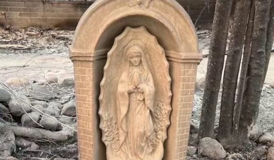A Statue’s Survival and Faith’s Stronghold: The Halpin Family Story
