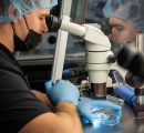 Baylor Genetics Cybersecurity Incident: Implications for IVF Patients