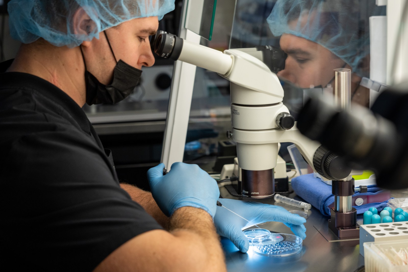 Baylor Genetics Cybersecurity Incident: Implications for IVF Patients