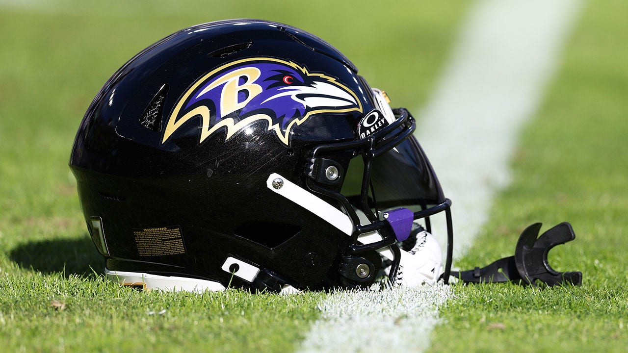 Overview of the Baltimore Ravens