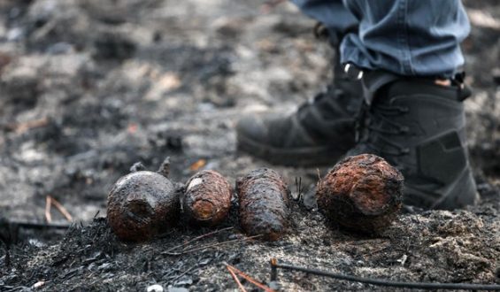 Forest Fire Uncovers WWII Ammunition in France