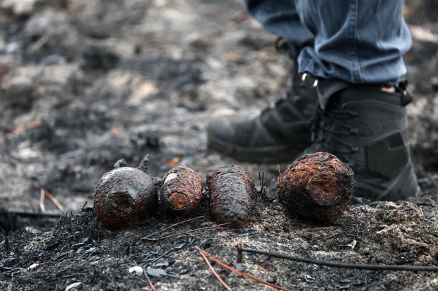 Forest Fire Uncovers WWII Ammunition in France