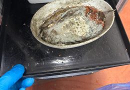 Concerns Over Sanitation and Safety at Airline Meal Facility