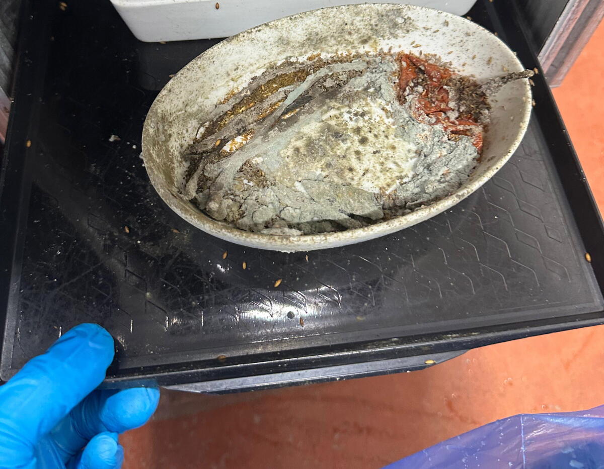 Concerns Over Sanitation and Safety at Airline Meal Facility