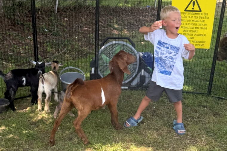 Rabies Exposure at North Carolina Petting Zoo Sparks Concern