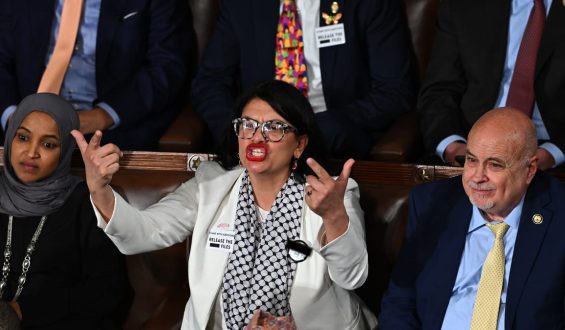 Progressive Gains in Democratic Primaries Reflect Potential Shift in Party Dynamics