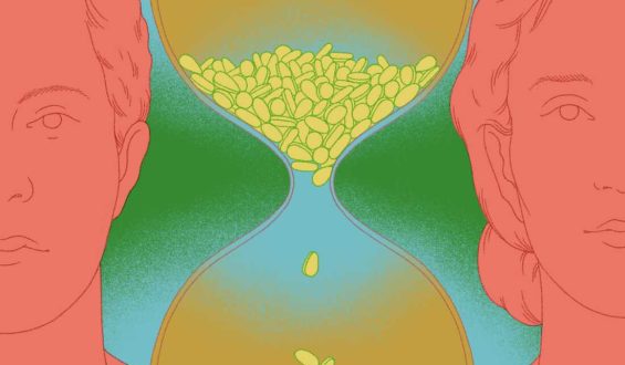 Tadalafil: Beyond Erectile Dysfunction to Potential Health Benefits