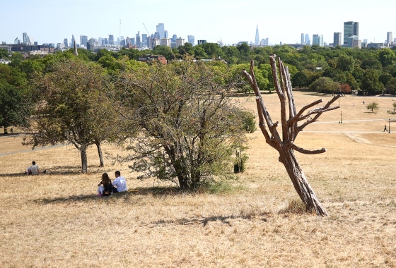 Effects of Drought and Heat Waves on London Parks