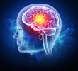 The Role of Deadlifts and Exercise in Brain Health