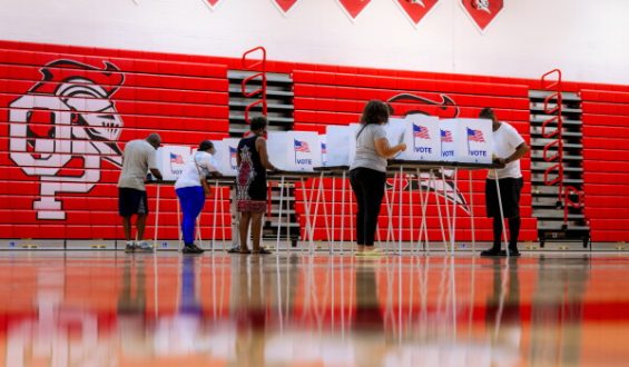 Democratic Voter Turnout Rises in 2026 Primaries