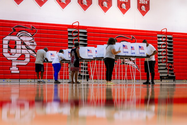 Democratic Voter Turnout Rises in 2026 Primaries