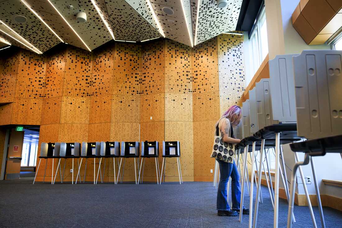 Strategic Messaging in Democratic Campaigns