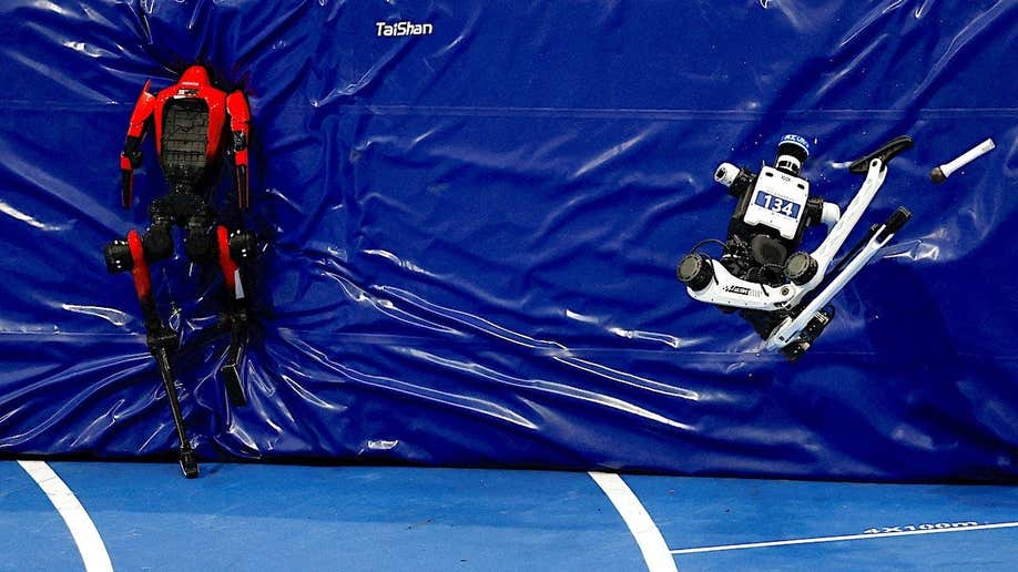 Highlights from the World Humanoid Robot Games