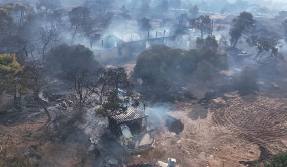 European Wildfires Present Severe Challenges Amid Climate Change