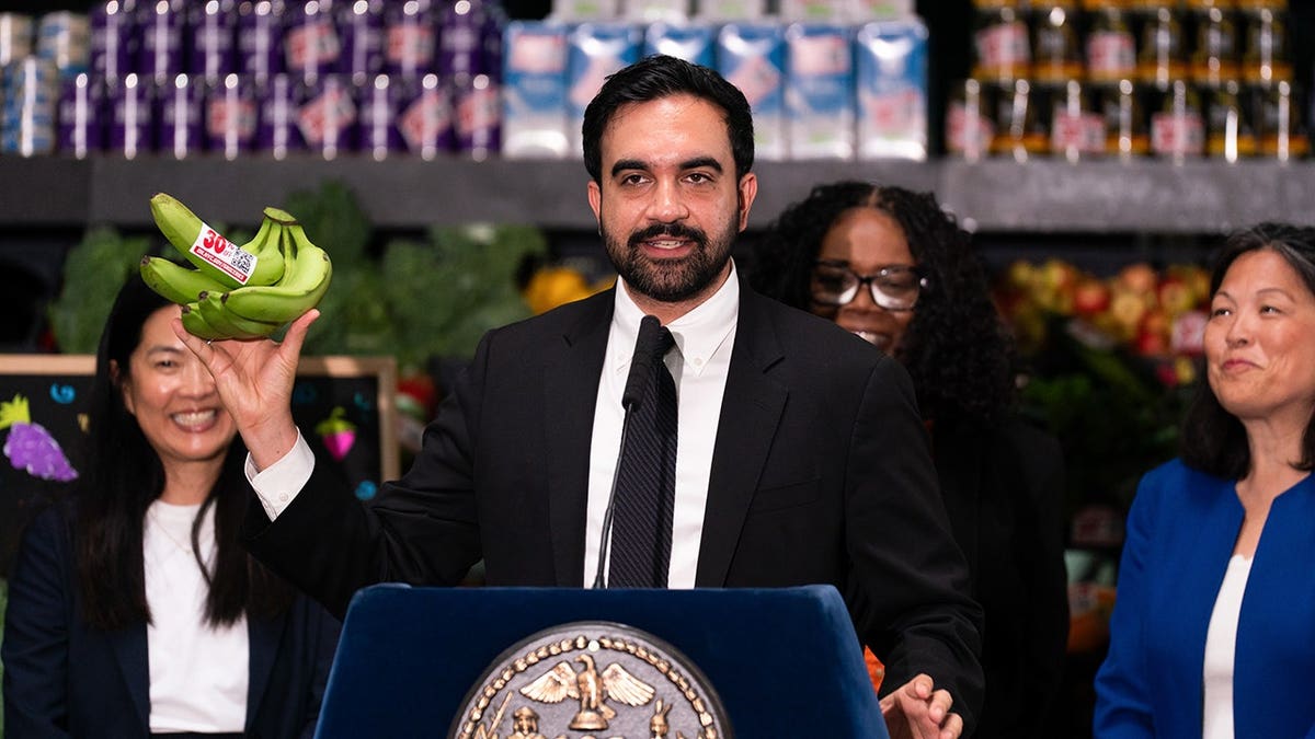 New York City Plans City-Run Grocery Stores Amid Concerns