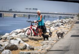 A Veteran Journalist Looks at California With Skepticism and Curiosity