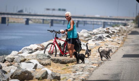 A Veteran Journalist Looks at California With Skepticism and Curiosity