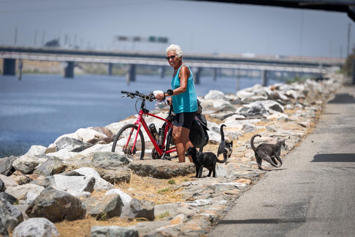 A Veteran Journalist Looks at California With Skepticism and Curiosity