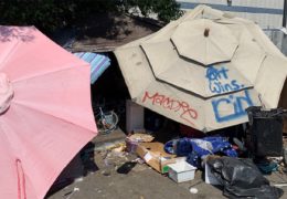 Challenges for UC Berkeley and Local Businesses from Nearby Homeless Encampment