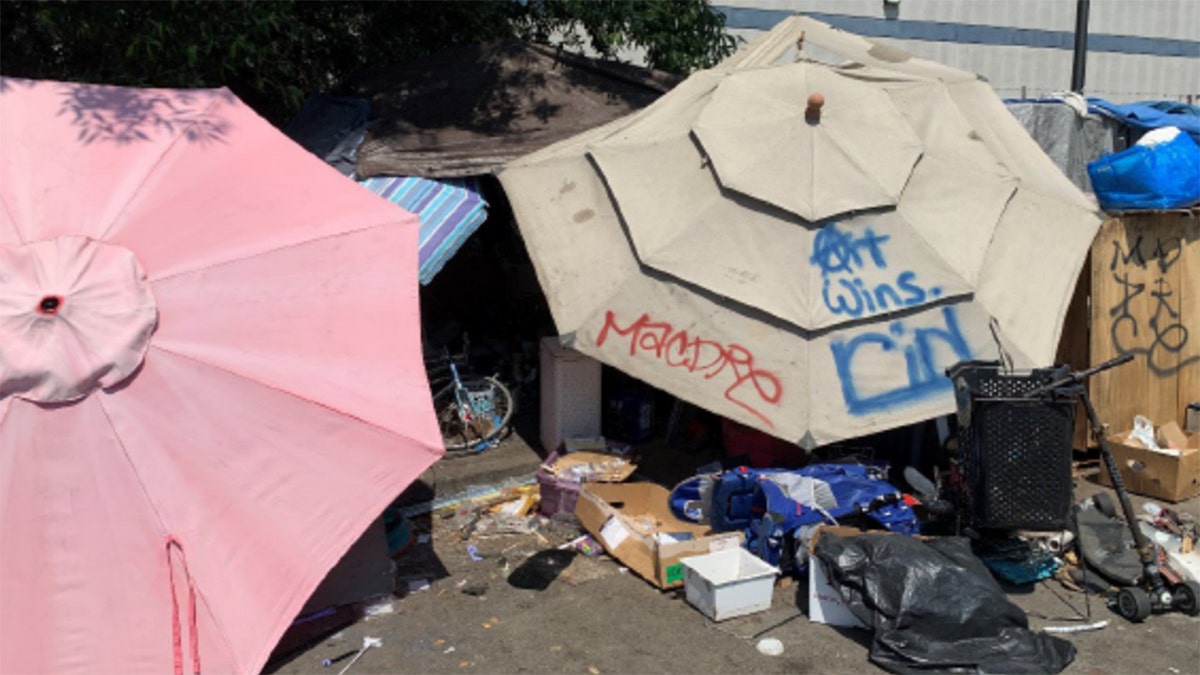 Challenges for UC Berkeley and Local Businesses from Nearby Homeless Encampment