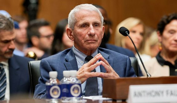Senator Investigates Fauci’s Concerns Over Vaccines and Pregnancy