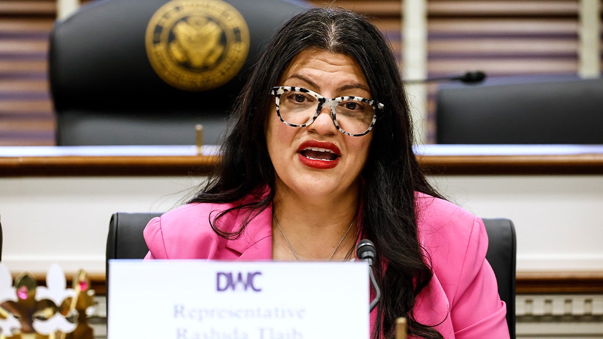 Tlaib Criticized by Florida Republican over Rally for Socialist Candidates