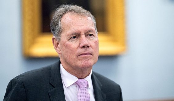 Democratic Establishment Secures Victory Over Socialist Challengers