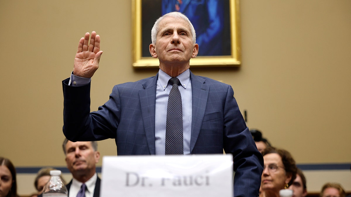 Fauci and the Contempt of Congress Controversy