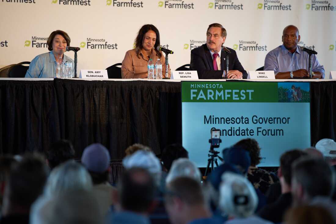 Minnesota House Speaker Lisa Demuth Wins Republican Primary for Governor