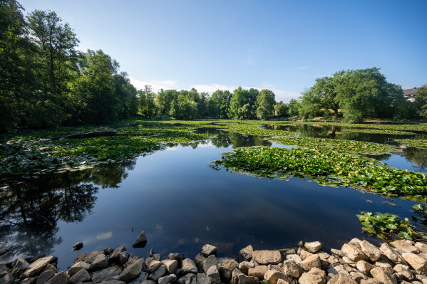 Extreme Heat’s Growing Impact on American Lives