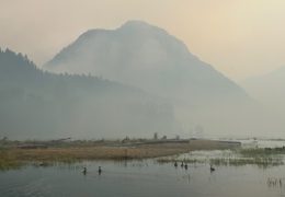 Wildfires Affecting Washington State’s National Parks