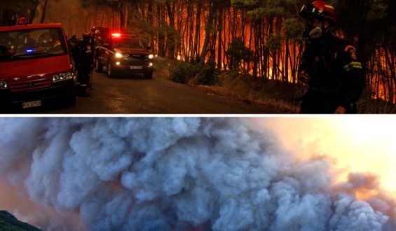 Wildfire Crisis: Greece and France Battle Blazes