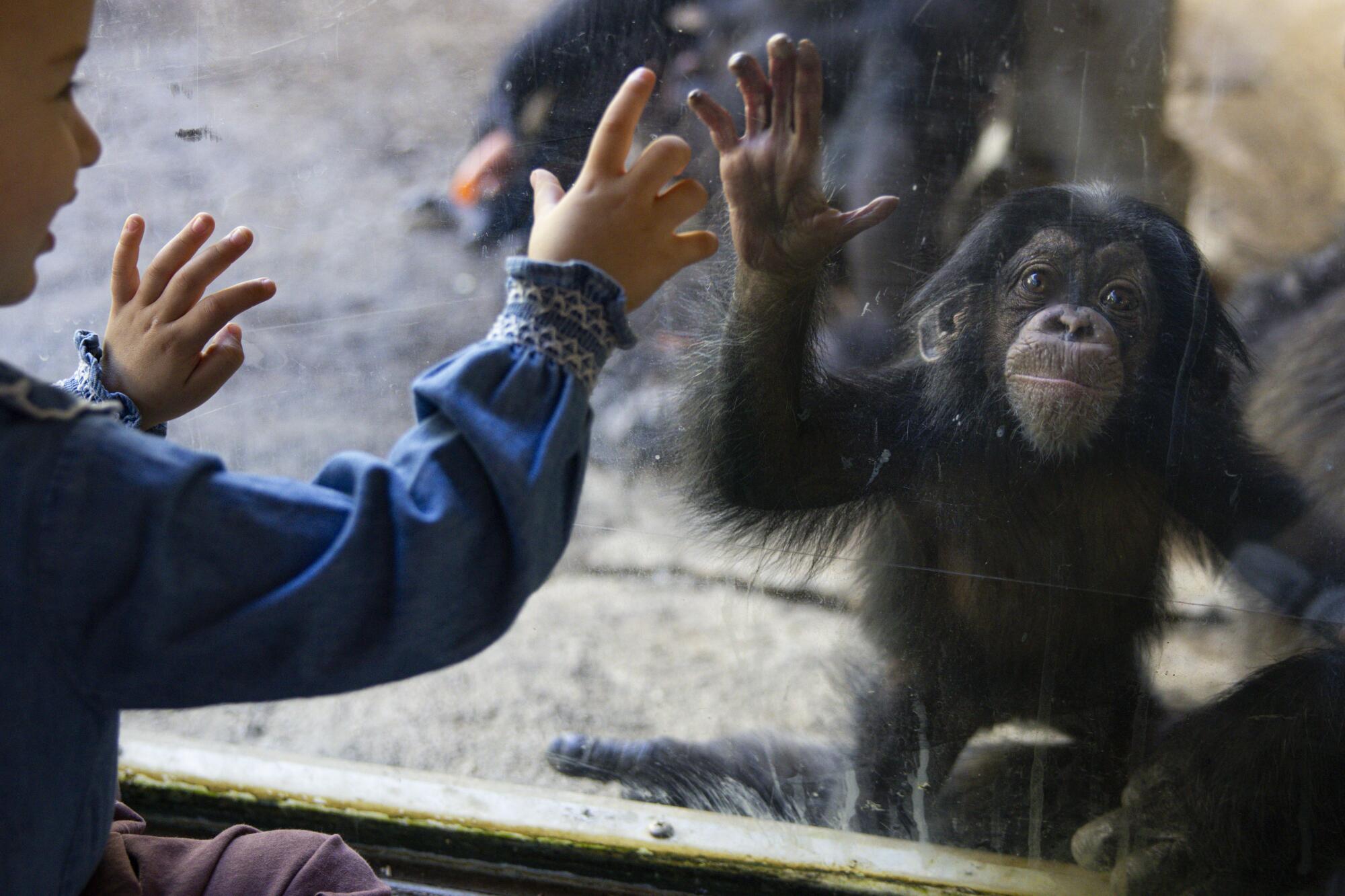 Upcoming Zoo Ticket Price Increase Sparks Controversy