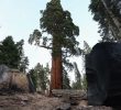 Trump Administration Seeks to End ‘Roadless Rule’ for Public Forests