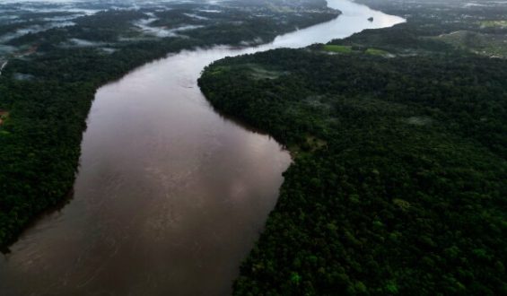 Brazil’s Supreme Court Decision Affects Soy Moratorium
