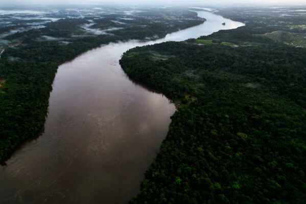 Brazil’s Supreme Court Decision Affects Soy Moratorium